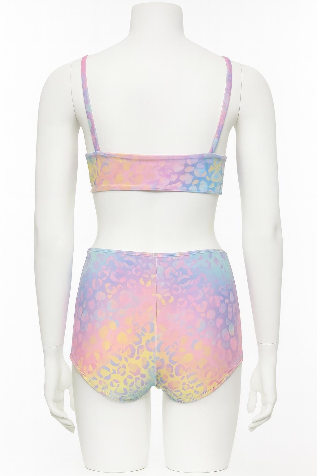 Pastel Ombre Leopard Print Bikini: High Waisted Two-Piece Swimsuit