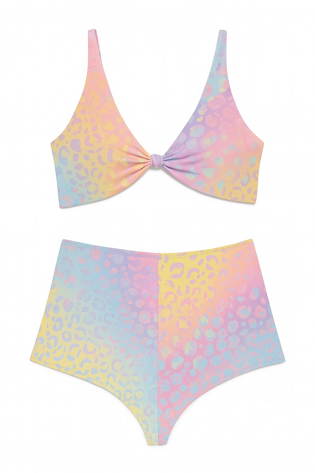 Pastel Ombre Leopard Print Bikini: High Waisted Two-Piece Swimsuit