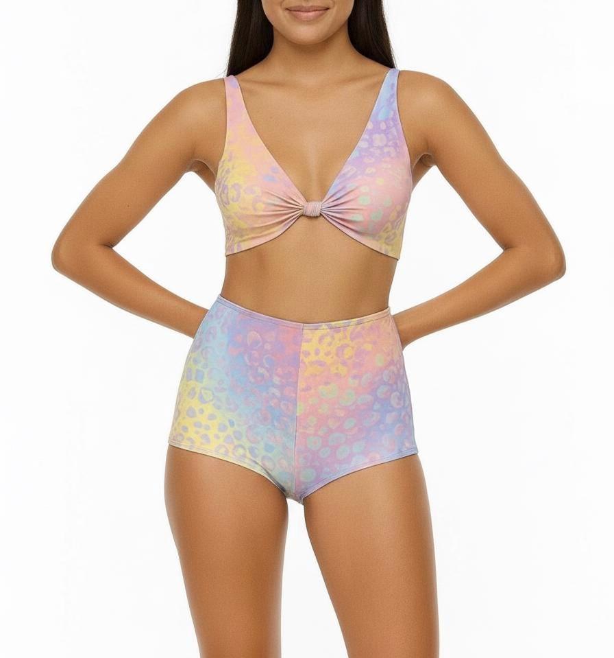 Pastel Ombre Leopard Print Bikini: High Waisted Two-Piece Swimsuit